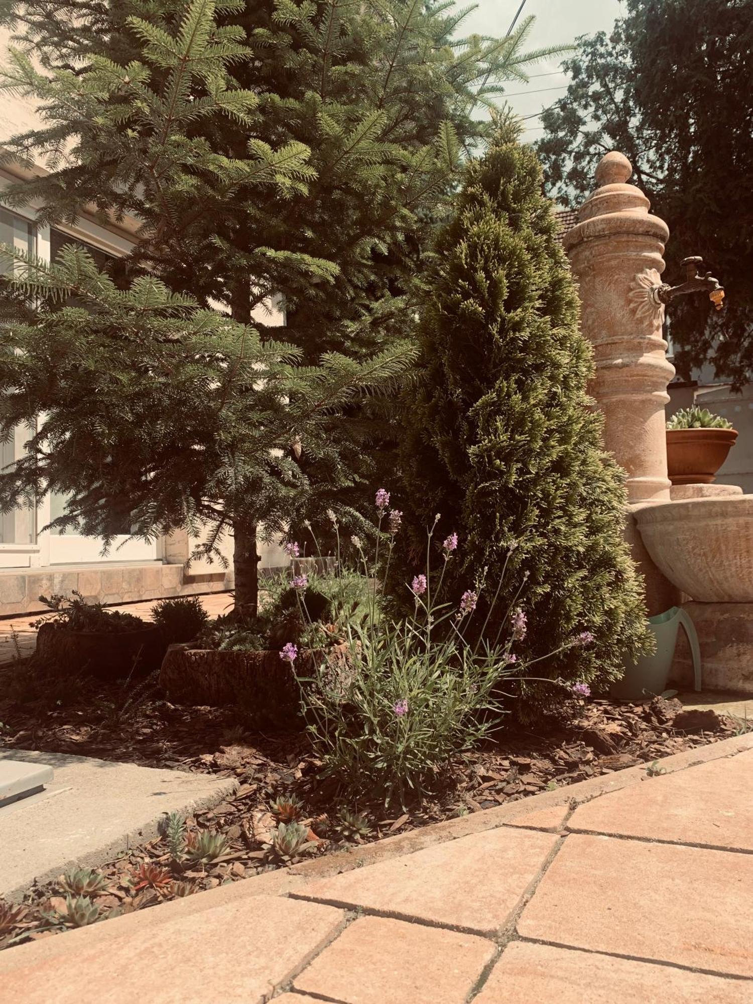 La Casa Tamaris Daire Senta Dış mekan fotoğraf